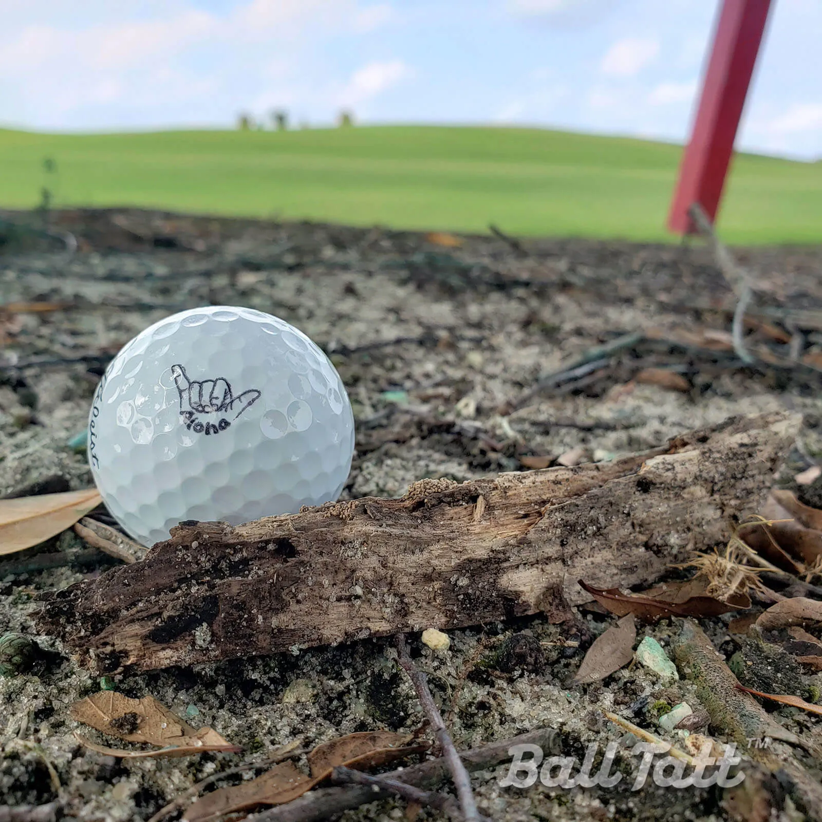 Aloha Golf Ball Stamp