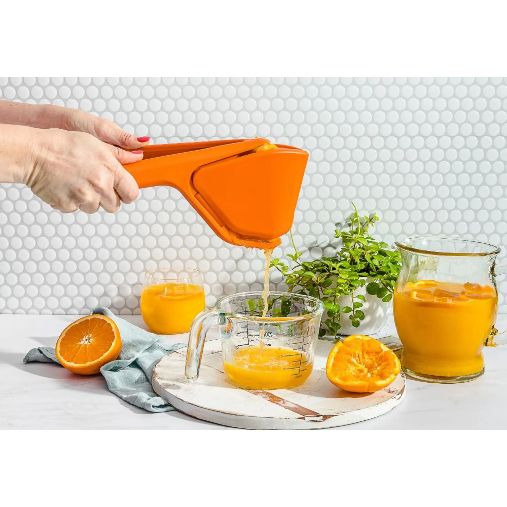 DreamFarm Stainless Steel Pp Manual Press Citrus Juicer Orange - Fluicer (SH-DFFU3444-OR)