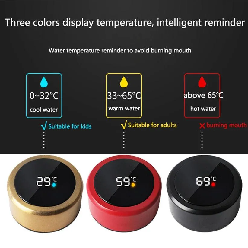 Intelligent Stainless Steel Thermos Bottle Temperature Display Vacuum Flasks Double Walled Coffee Cup Smart Water Bottle Gifts (500ML)