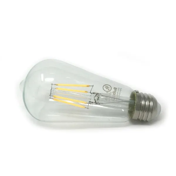 LED Filament Edison Light Bulb - ST19 Vintage - 4 Watt - Clear - 2700K