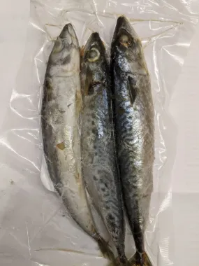 Mackerel Mini (3 per pack)