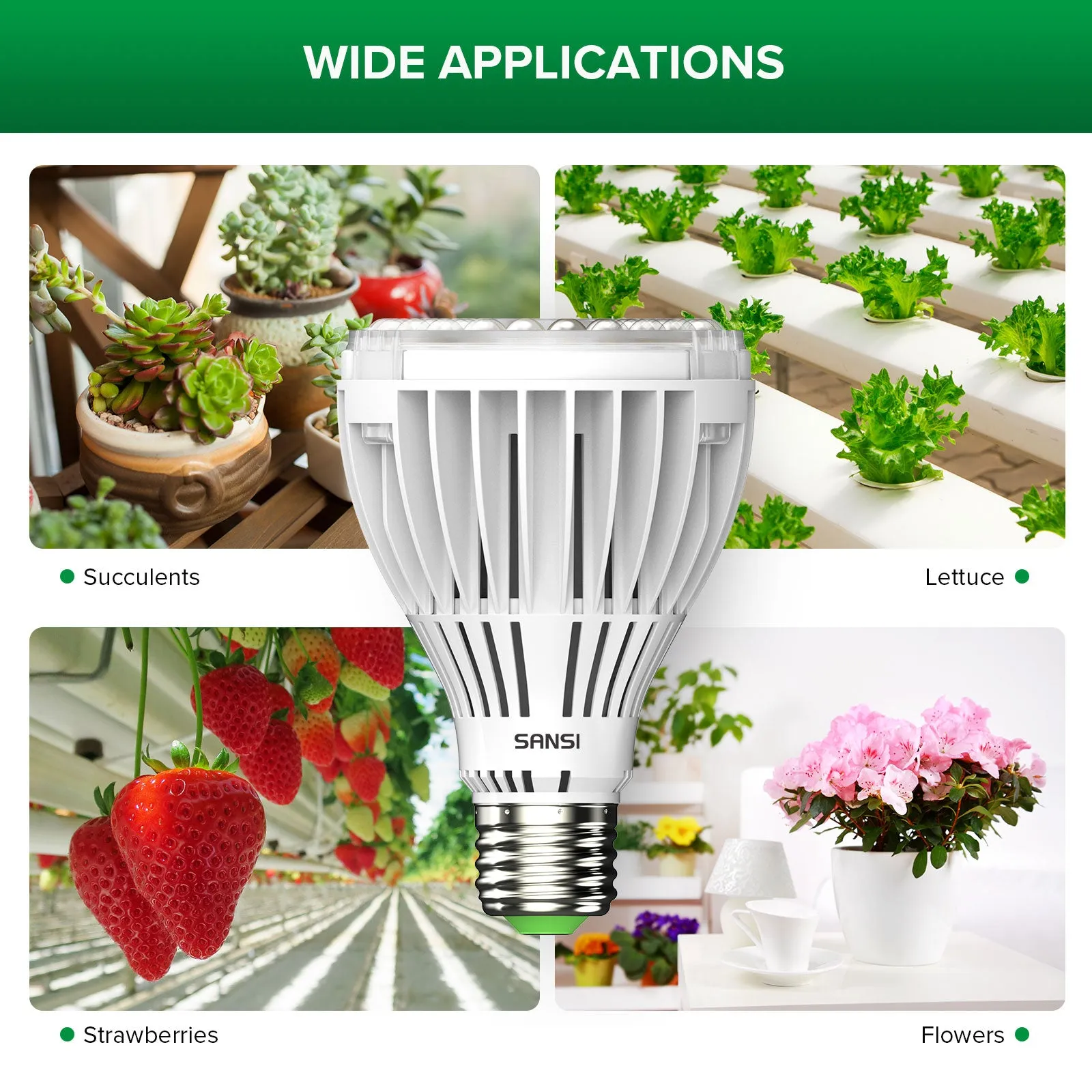 PAR25 30W Led Grow Light Bulb (US ONLY)