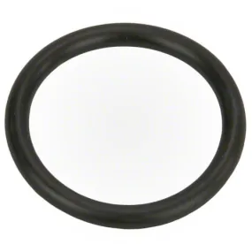 Polaris Universal Wall Fitting O-ring 6-505-00