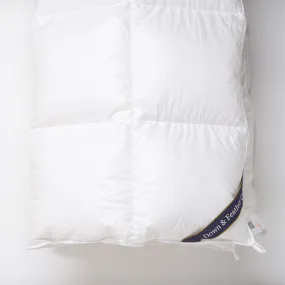 Snuggle Soft 700 Winter Weight Down Comforter - Queen (90" x 90")