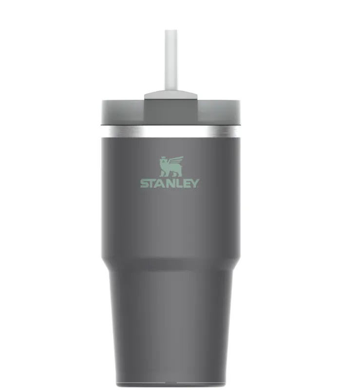 Stanley The Quencher H2.O FlowState Tumbler 20oz Color: Charcoal